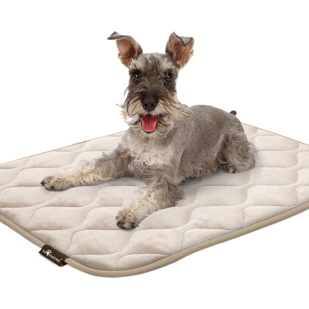 Paw Inspired machine-washable design makes cleaning easy
