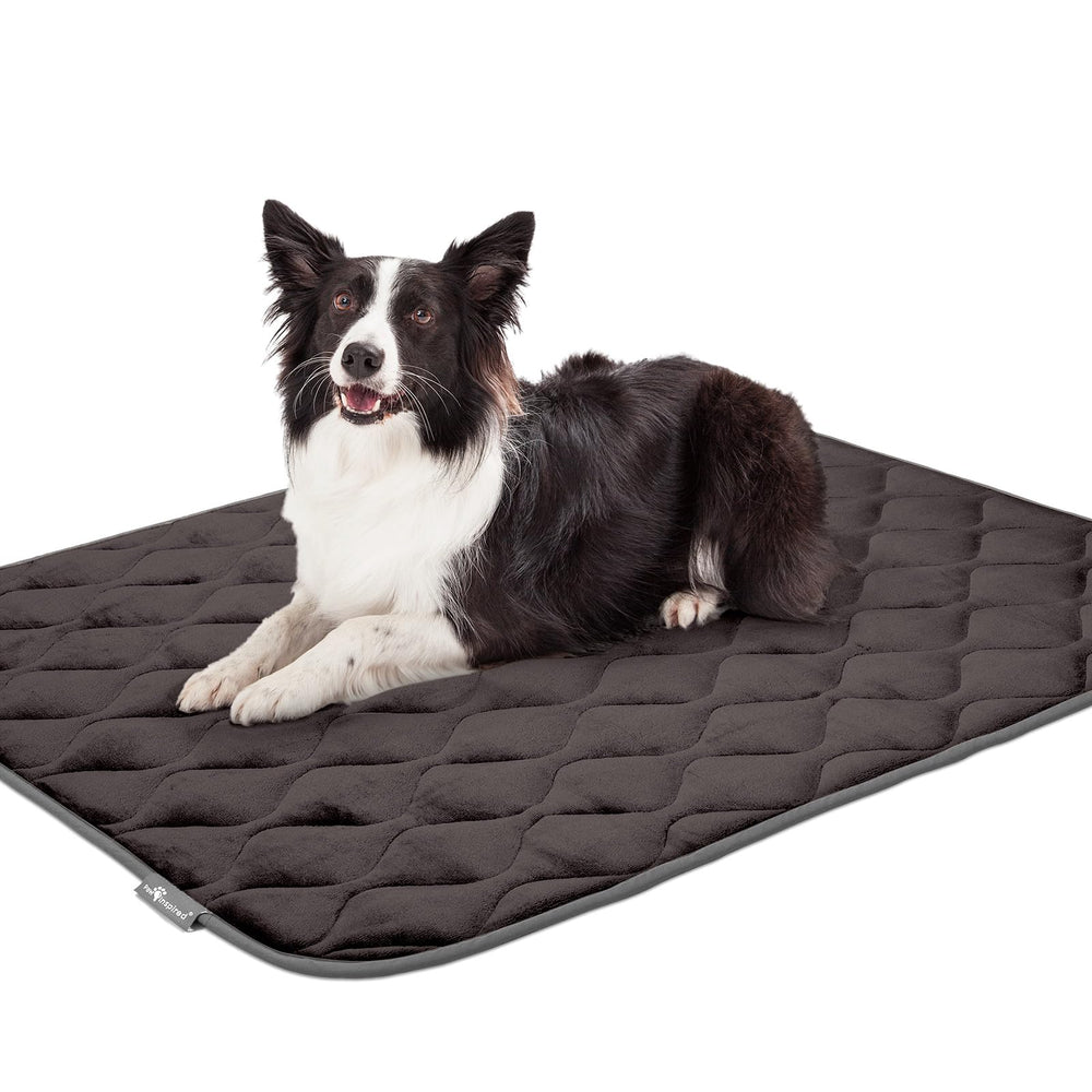 Paw Inspired gray crate mat machine-washable for easy cleaning.