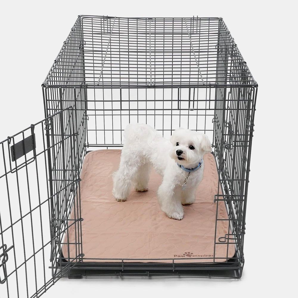 Paw Inspired waterproof bed protector guards beds and crates from moisture