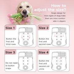 Paw Legend easy-clean dog diapers with dirt-resistant lining for quick washing.