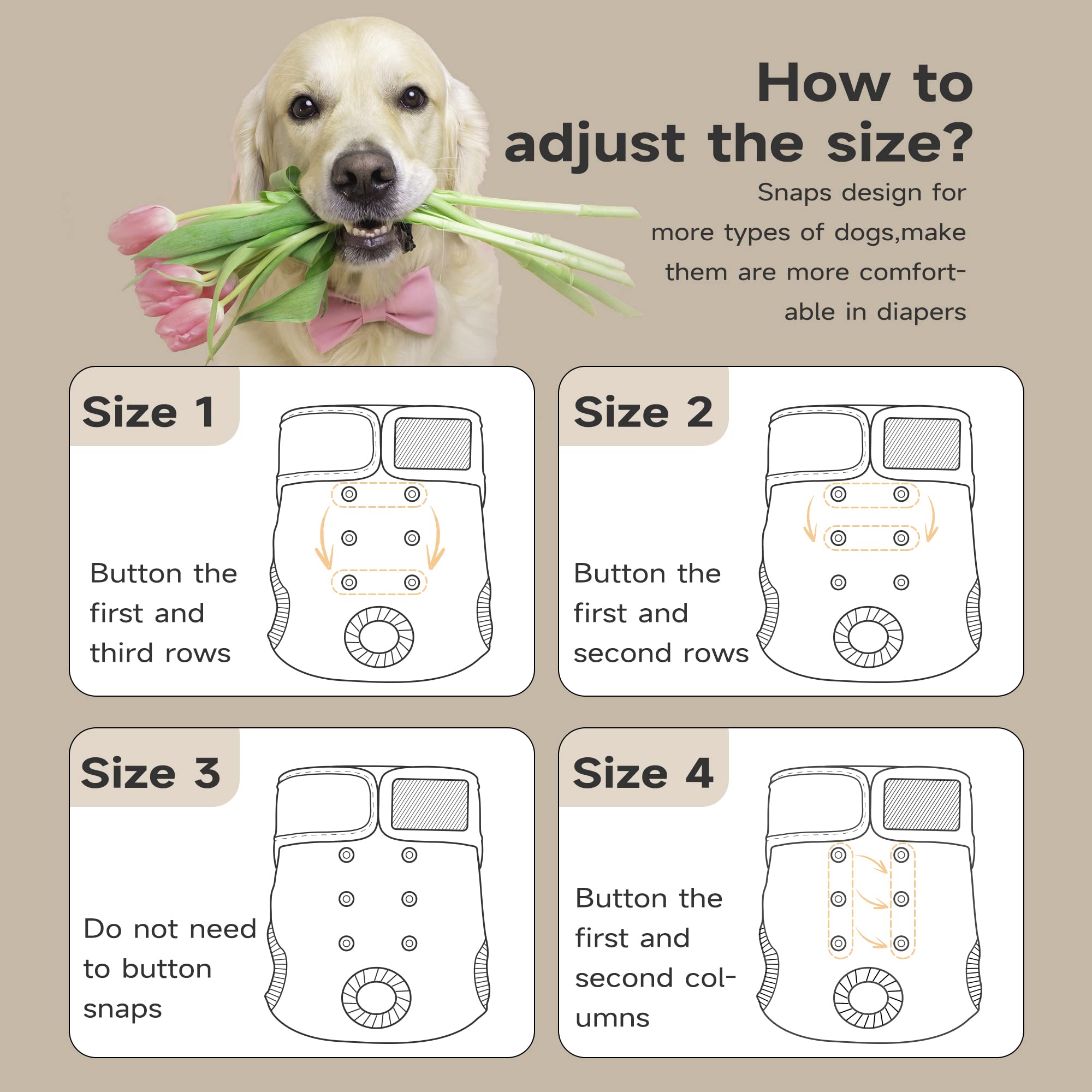 Paw Legend leak-proof dog diapers with pads and breathable fast-dry mesh.
