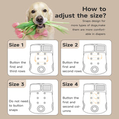 Paw Legend leak-proof dog diapers with pads and breathable fast-dry mesh.