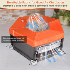 Paw Libero 45-inch interior provides ample space for growth.