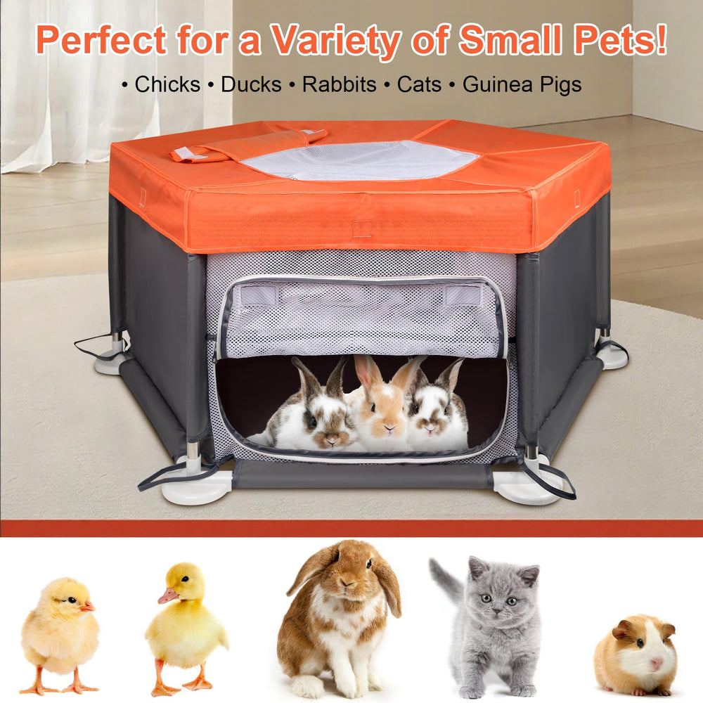Paw Libero easy-clean design supports simple maintenance.