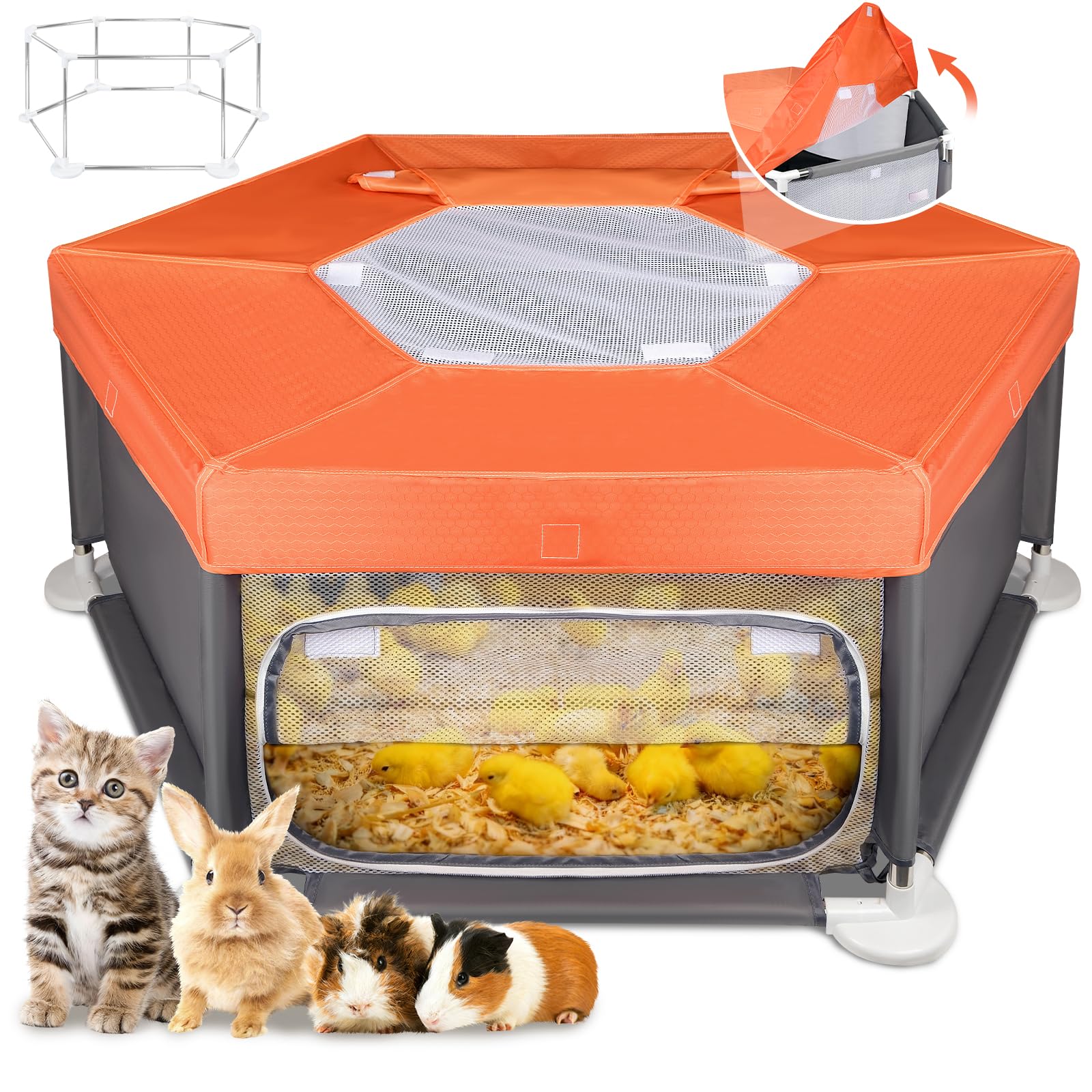 Paw Libero sturdy stainless steel frame for stable playtime.