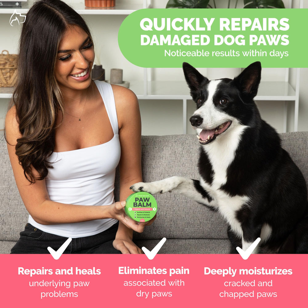 Paw Nectar lick-safe balm bottle ready for paw care routine