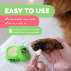 Applying Paw Nectar on a dog's paw for daily moisture