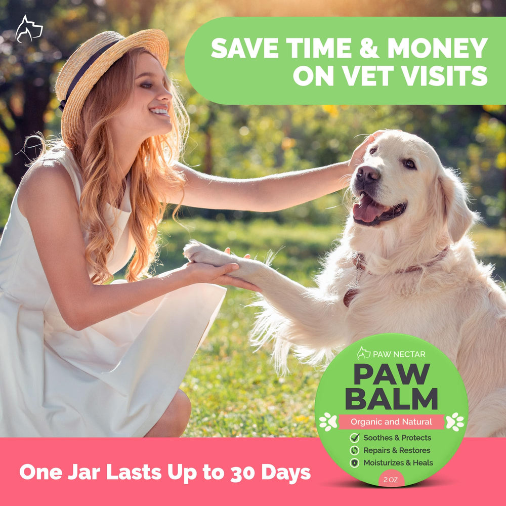 Paw Nectar protection against winter and summer wear