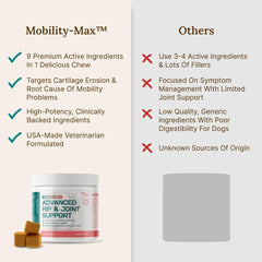 Dog enjoying Paw Origins Mobility Max chew during a meal for joint support
