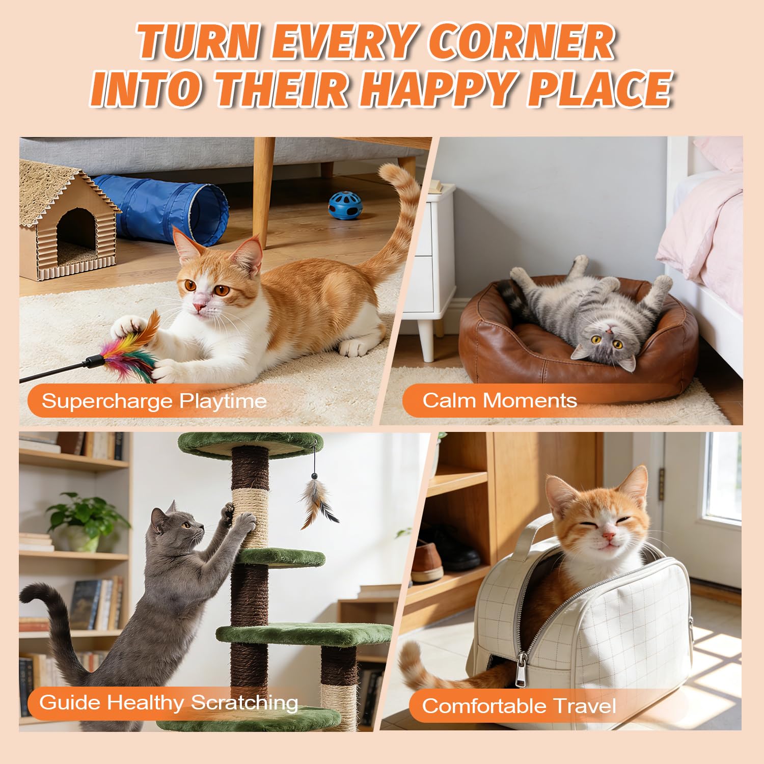 PAW PLANET indoor cat enrichment for toys and posts.