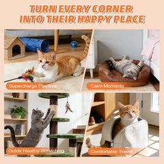 PAW PLANET indoor cat enrichment for toys and posts.