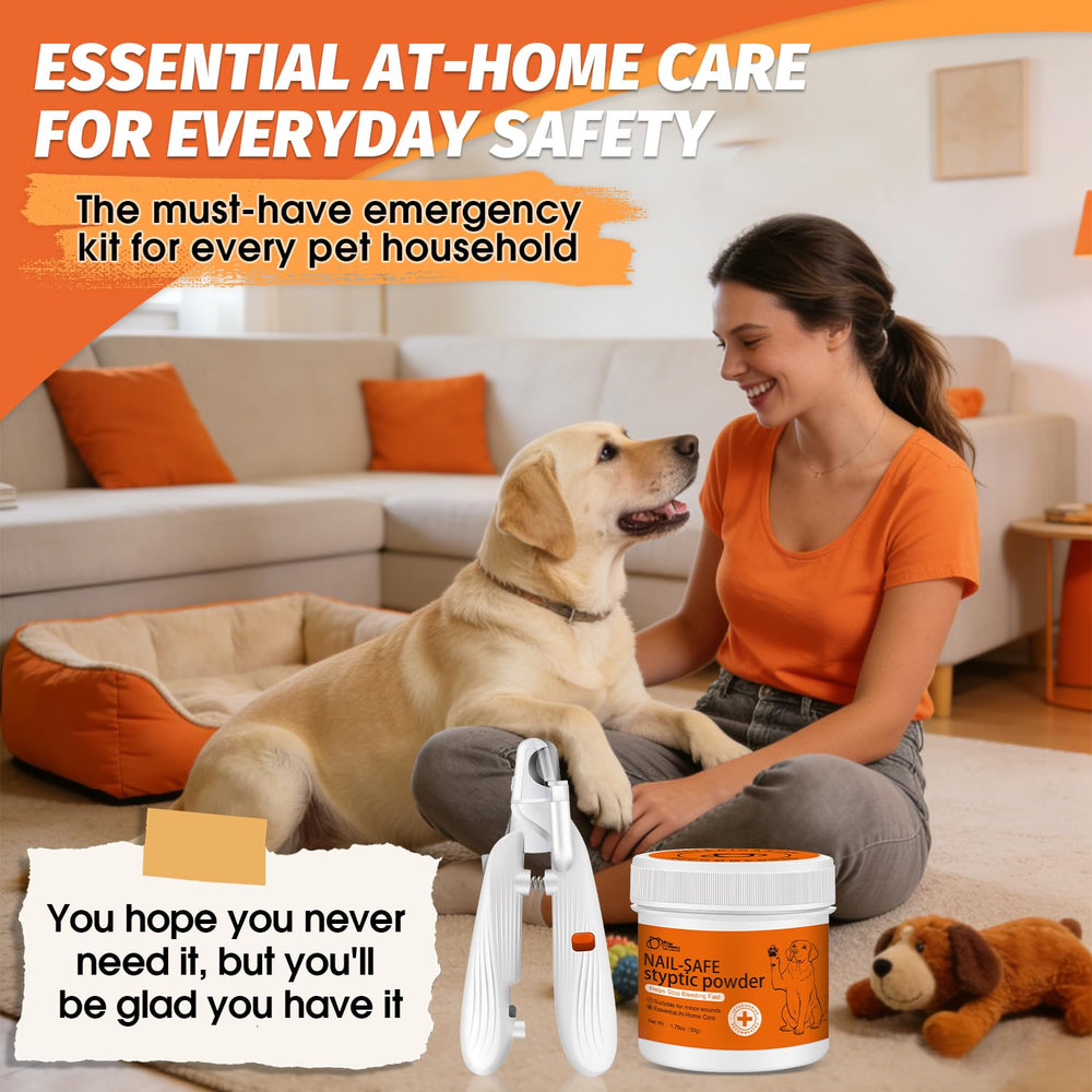 PAW PLANET care setup with pet, highlighting calm grooming sessions.