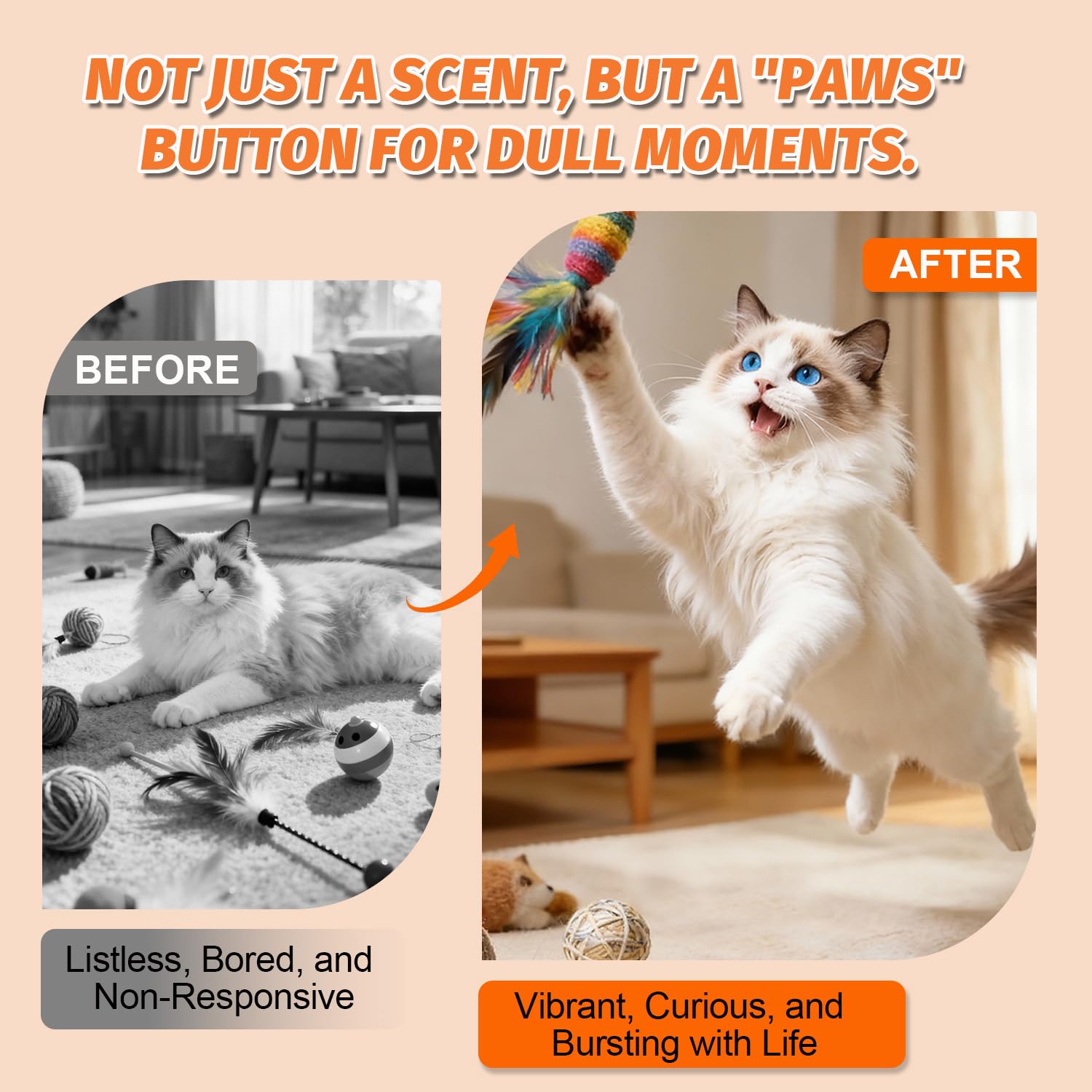 PAW PLANET training spray helps redirect scratching behavior gently.