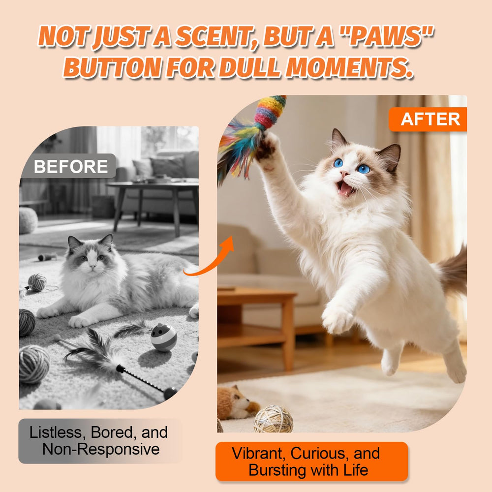 PAW PLANET training spray helps redirect scratching behavior gently.