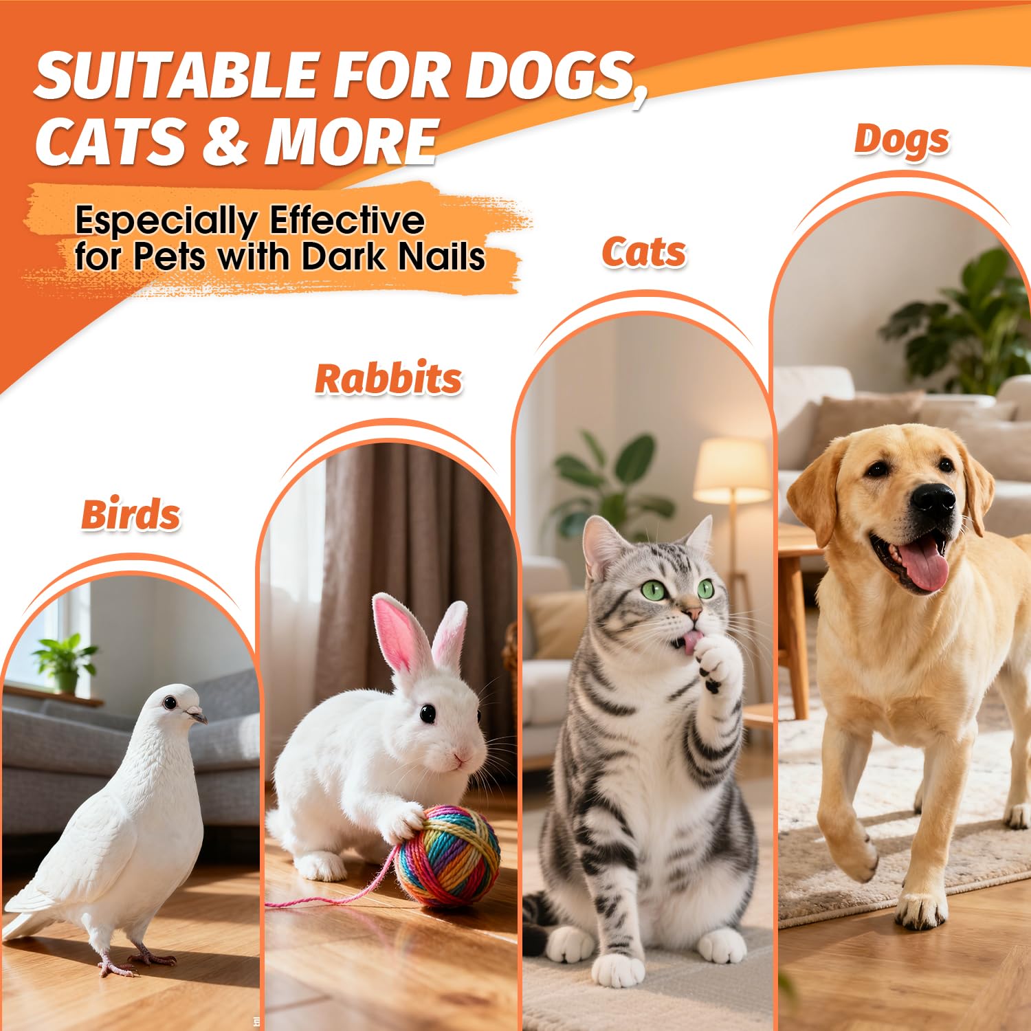 PAW PLANET Styptic Powder two-pack display emphasizes value for multi-pet homes.