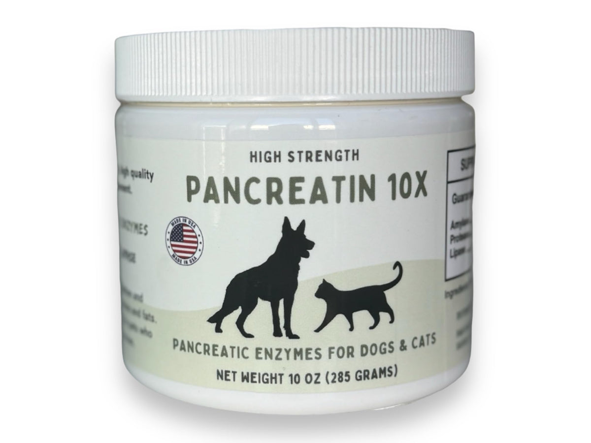 Paw Vitality Pancreatin 10X bottle front view highlighting high-strength enzymes for pets