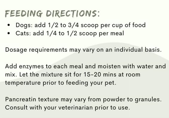 Paw Vitality Pancreatin 10X close-up of low-odor, acetone-free jar