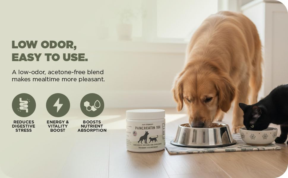 Paw Vitality Pancreatin 10X being poured into a bowl for mealtime digestion