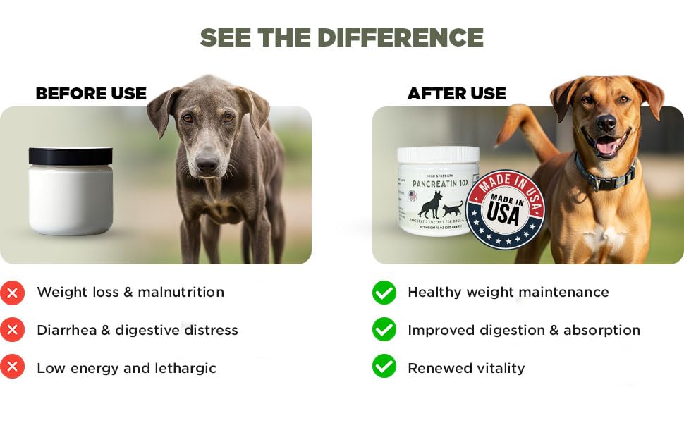 Paw Vitality Pancreatin 10X USA-made label with low-odor formulation