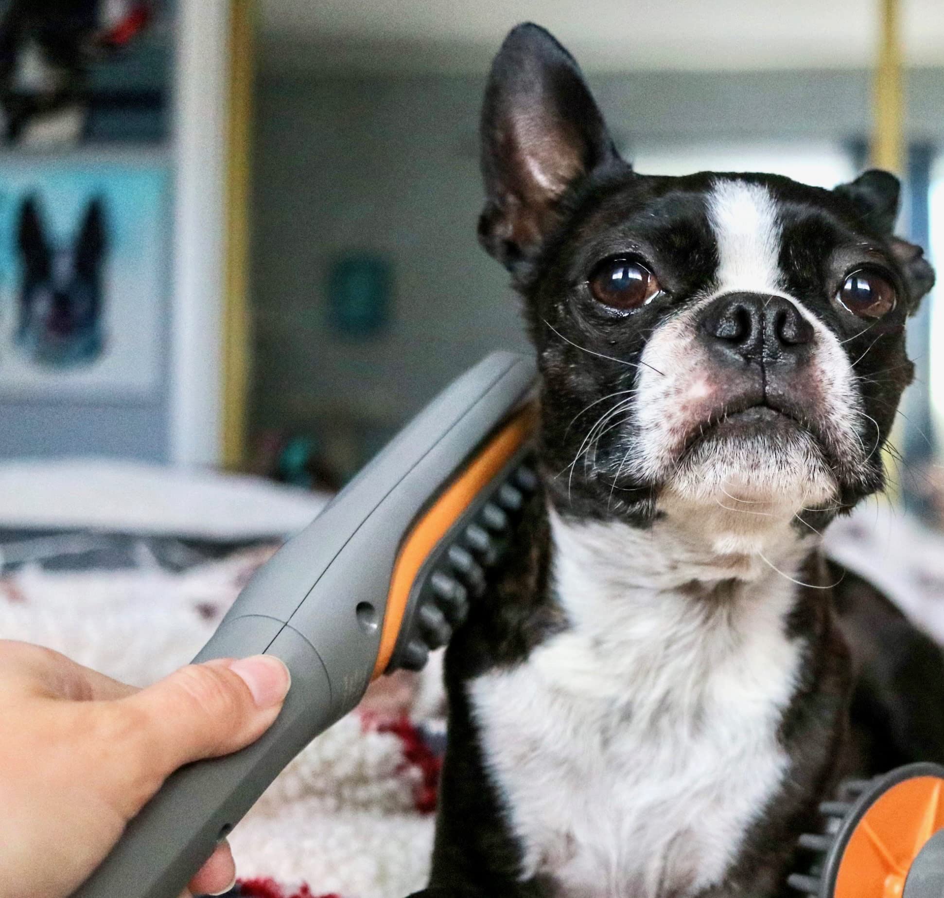 PAW WAVE Buzz Therapeutic Brush shows soft bristles brushing skin gently.