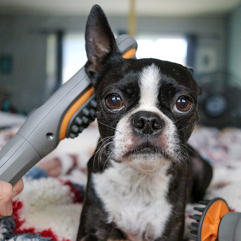 PAW WAVE Buzz Therapeutic Brush compact design for easy storage and travel.