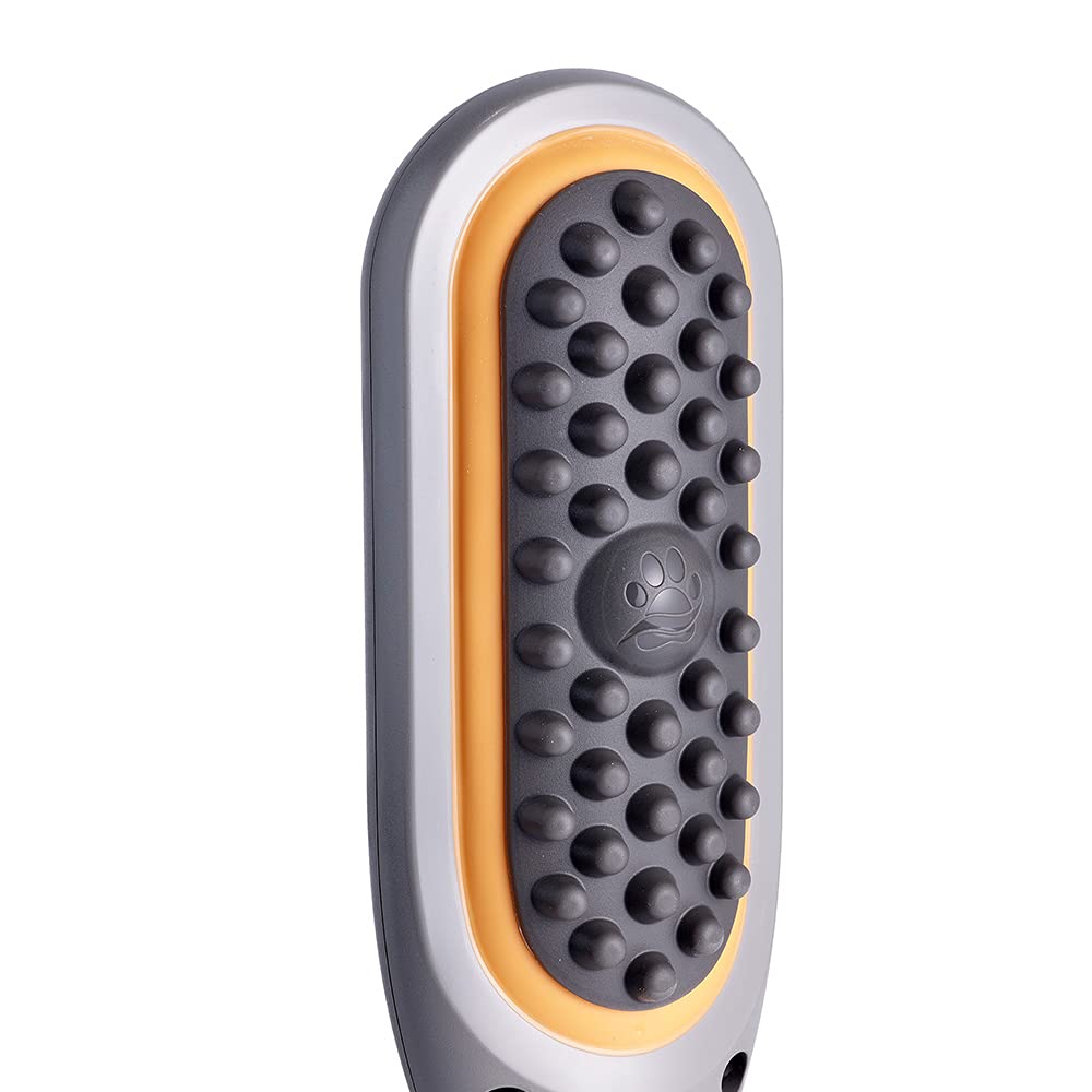 PAW WAVE Buzz Therapeutic Brush ready for everyday pampering and care.