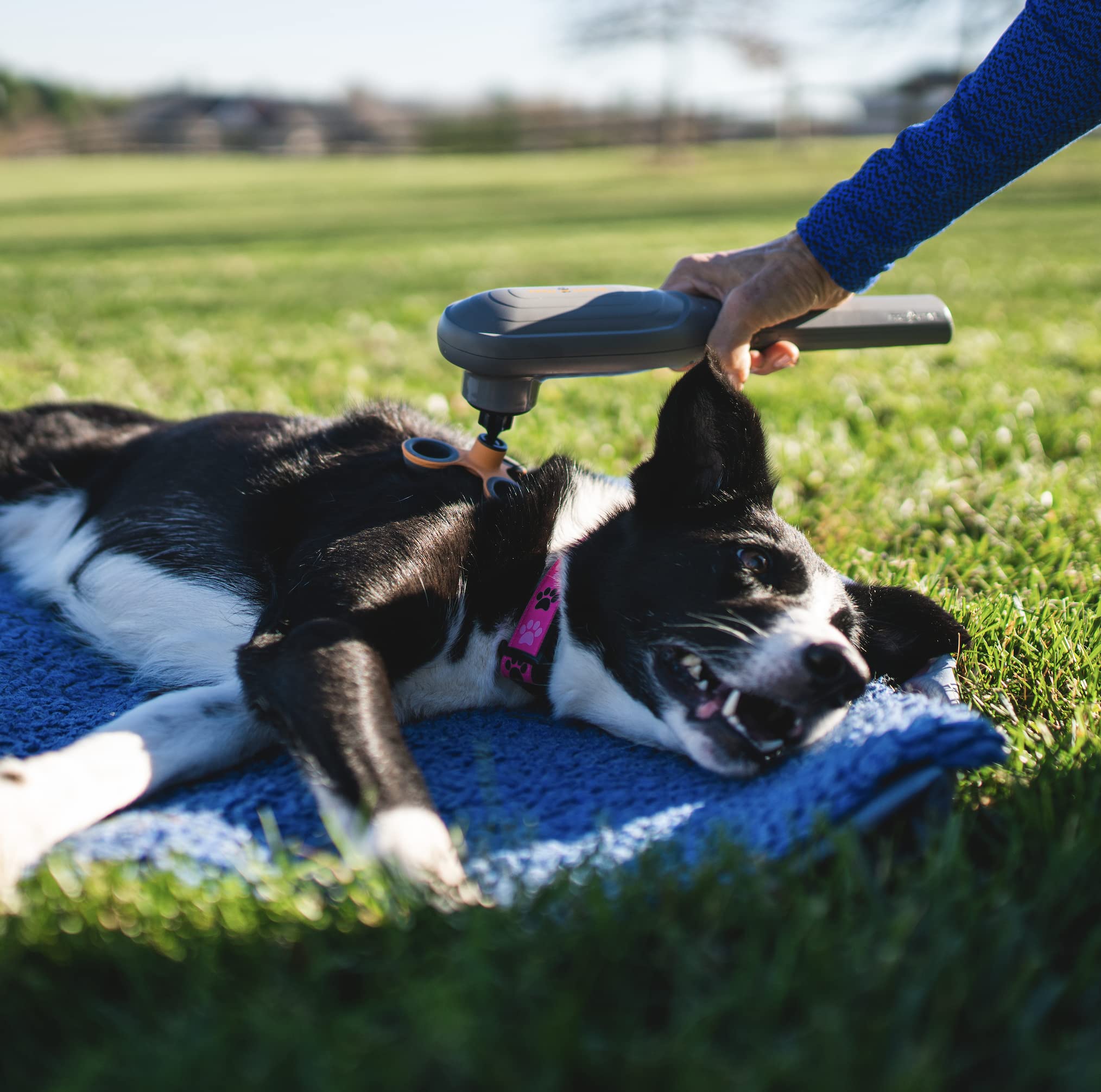 Deep-tissue action of PAW WAVE Perk loosens tight joints and boosts circulation.