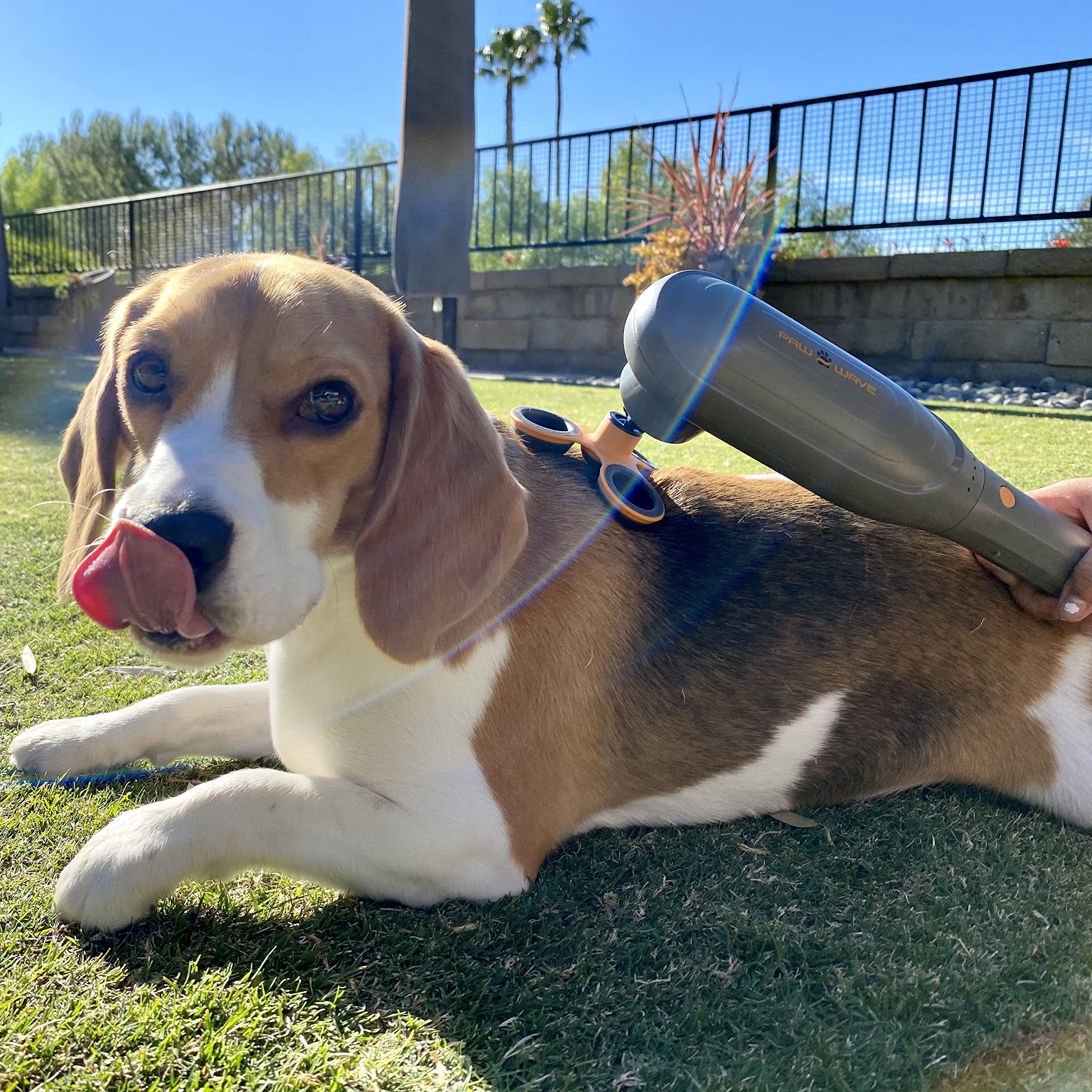 PAW WAVE Perk massager supports pet mobility through targeted muscle stimulation.