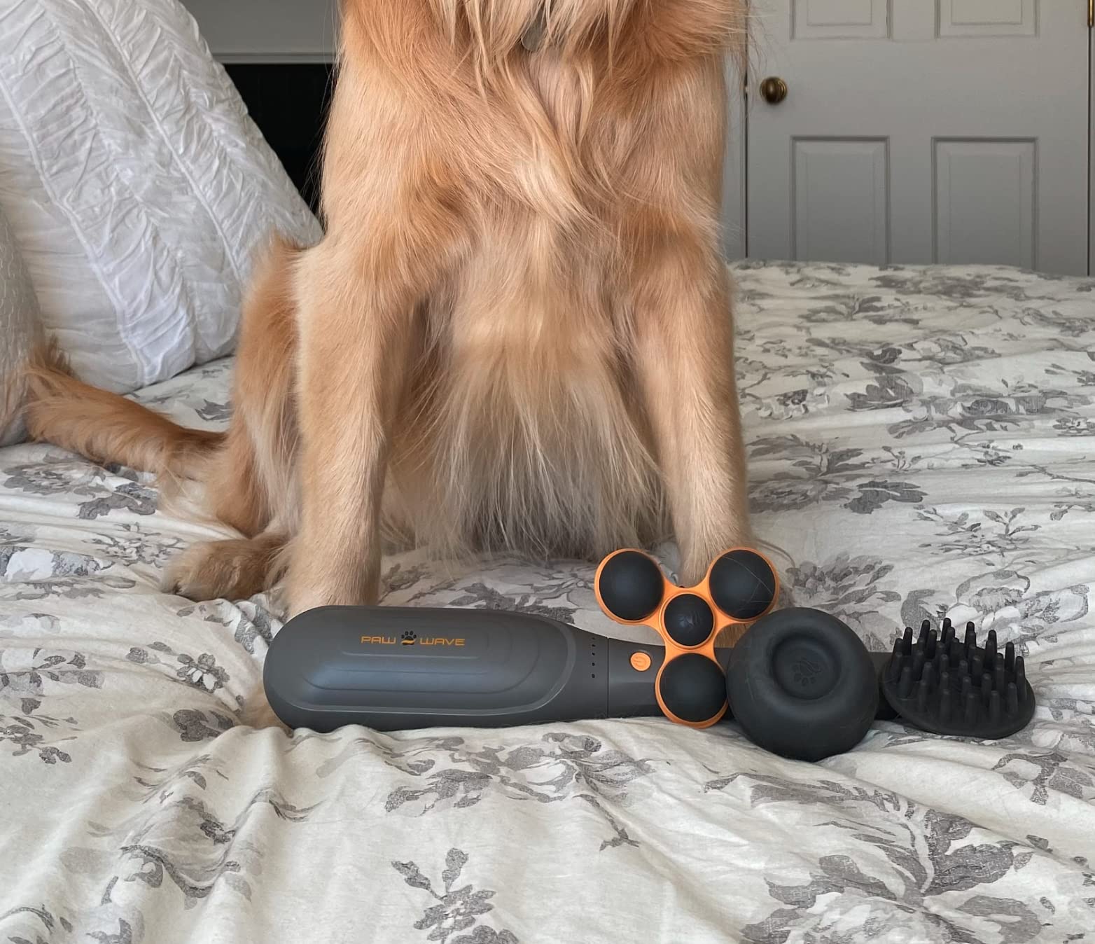 Soft-coated pet enjoys peaceful relaxation with PAW WAVE Perk during sessions.