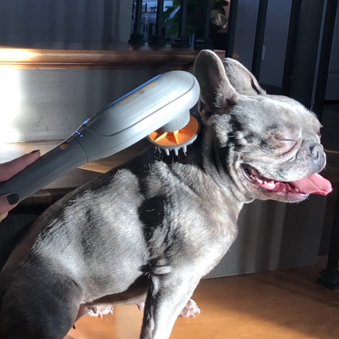 PAW WAVE Perk rhythm supports recovery as a gentle massage routine.