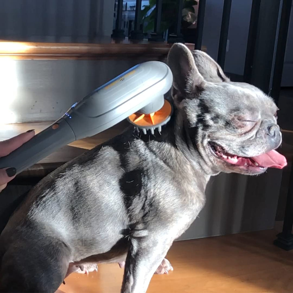 PAW WAVE Perk rhythm supports recovery as a gentle massage routine.