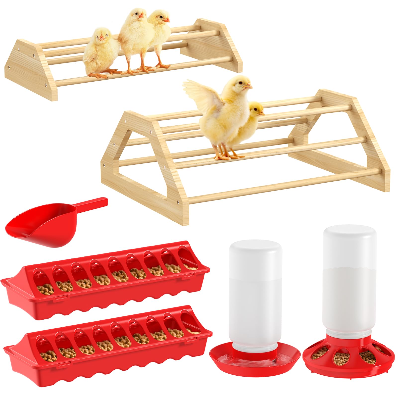 Pawaboo 7-in-1 chick brooder box perch setup aiding safe exercise for growing chicks