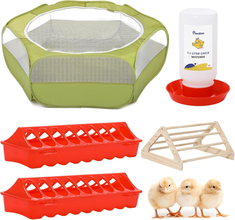 Pawaboo chick brooder box front view showing safe, compact habitat.
