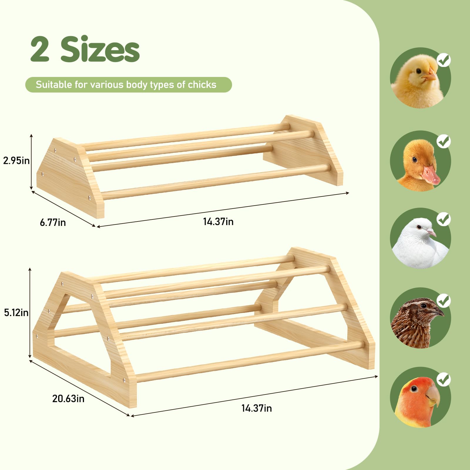 Pawaboo Chick Perch Small – compact roost for tiny chicks and quail