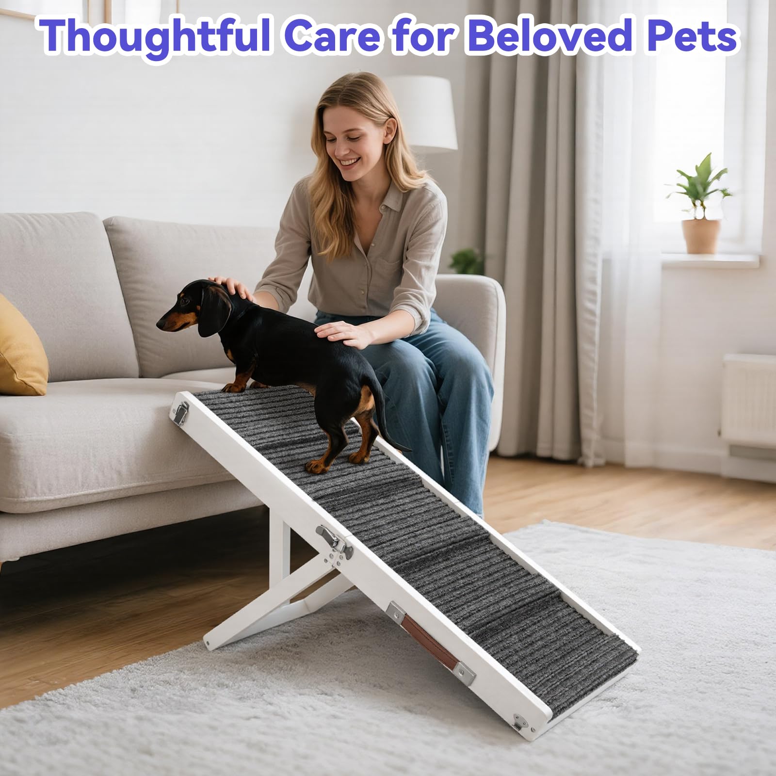 Pawaboo dog ramp aiding pets to step up with confidence.