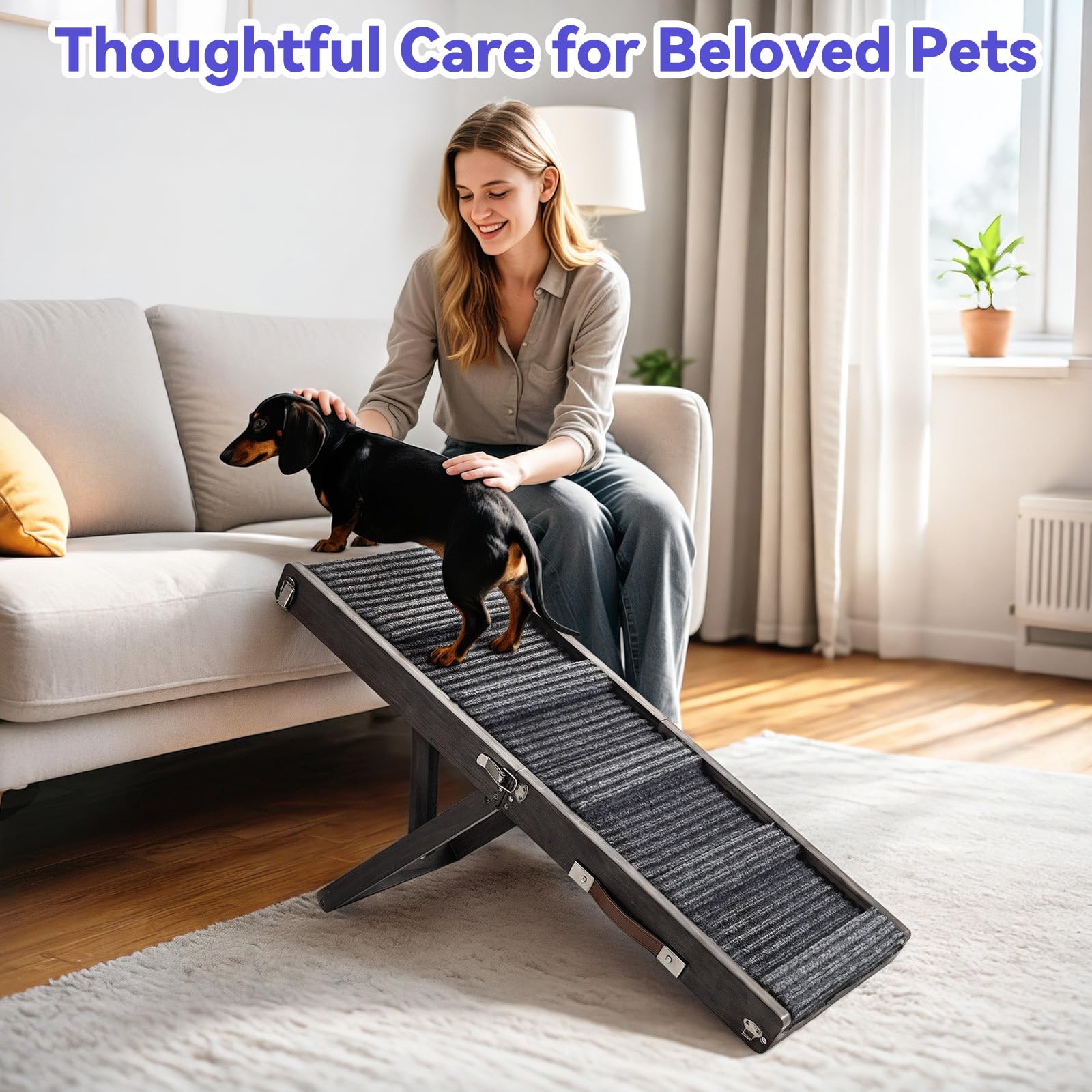Pawaboo pet ramp enabling smooth sofa access for dogs.