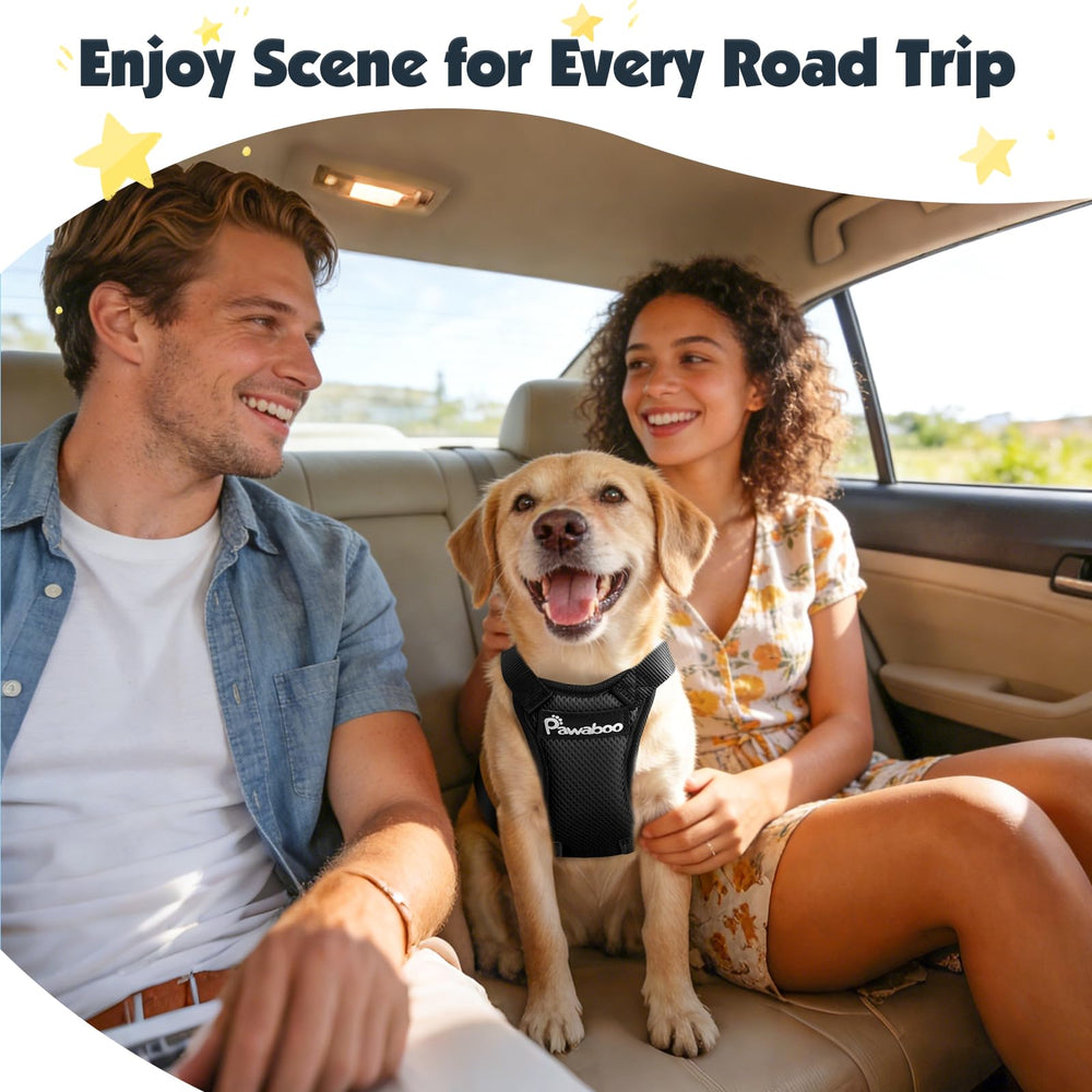 Pawaboo double clips design secures seat belt socket and headrest connection