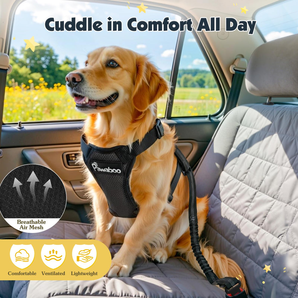 Pawaboo multi-size options fit small to XXL pets