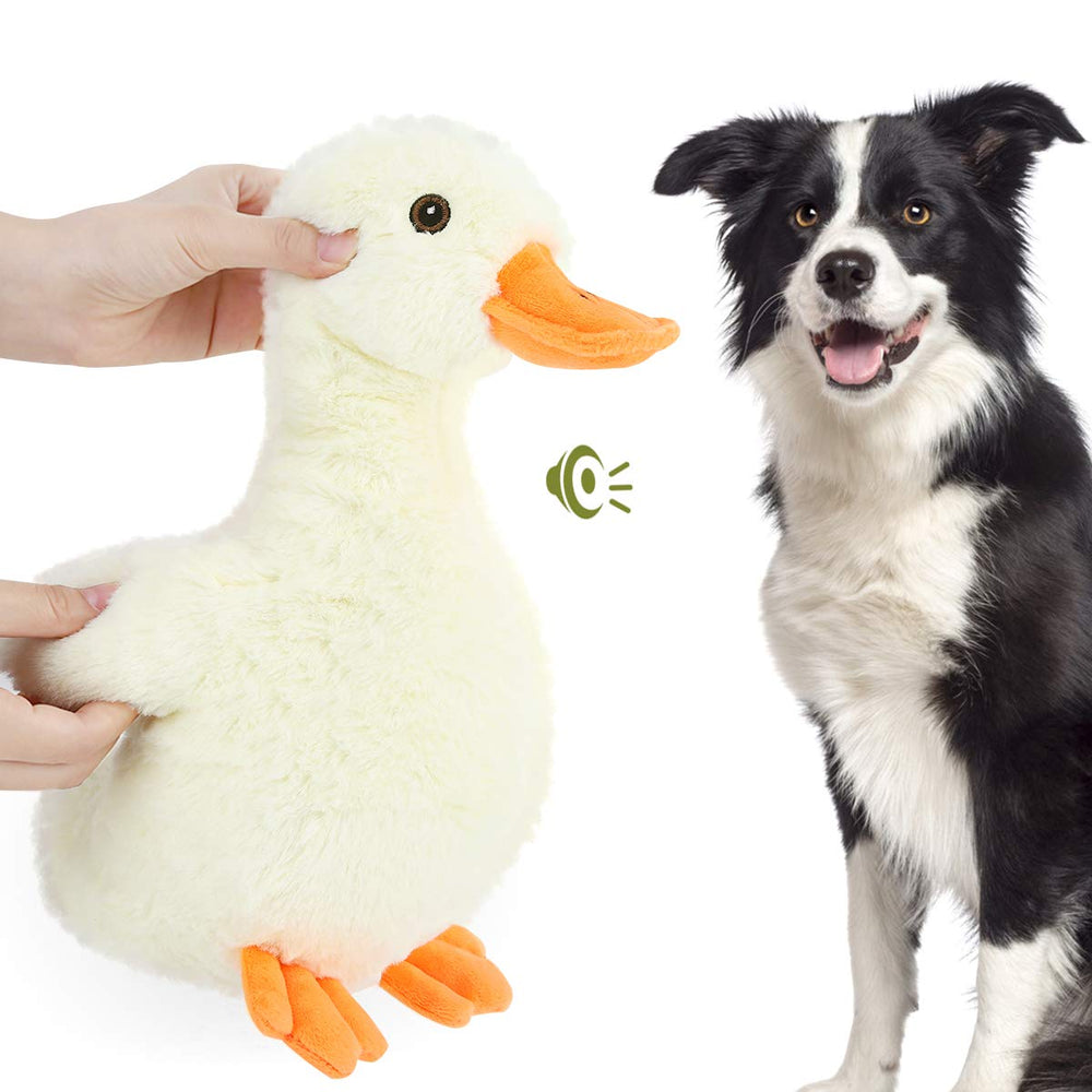 Pawaboo squeak plush duck head toy for lively play