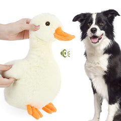Pawaboo squeak plush duck head toy for lively play