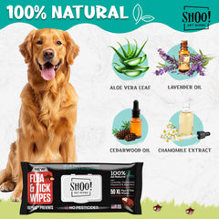 Pawadise Shoo! wipes applied on a dog after a park visit.