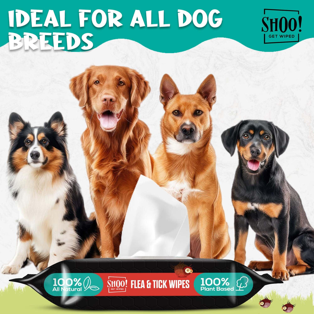 Pawadise Shoo! wipes two-pack of 50 XL for all breeds.