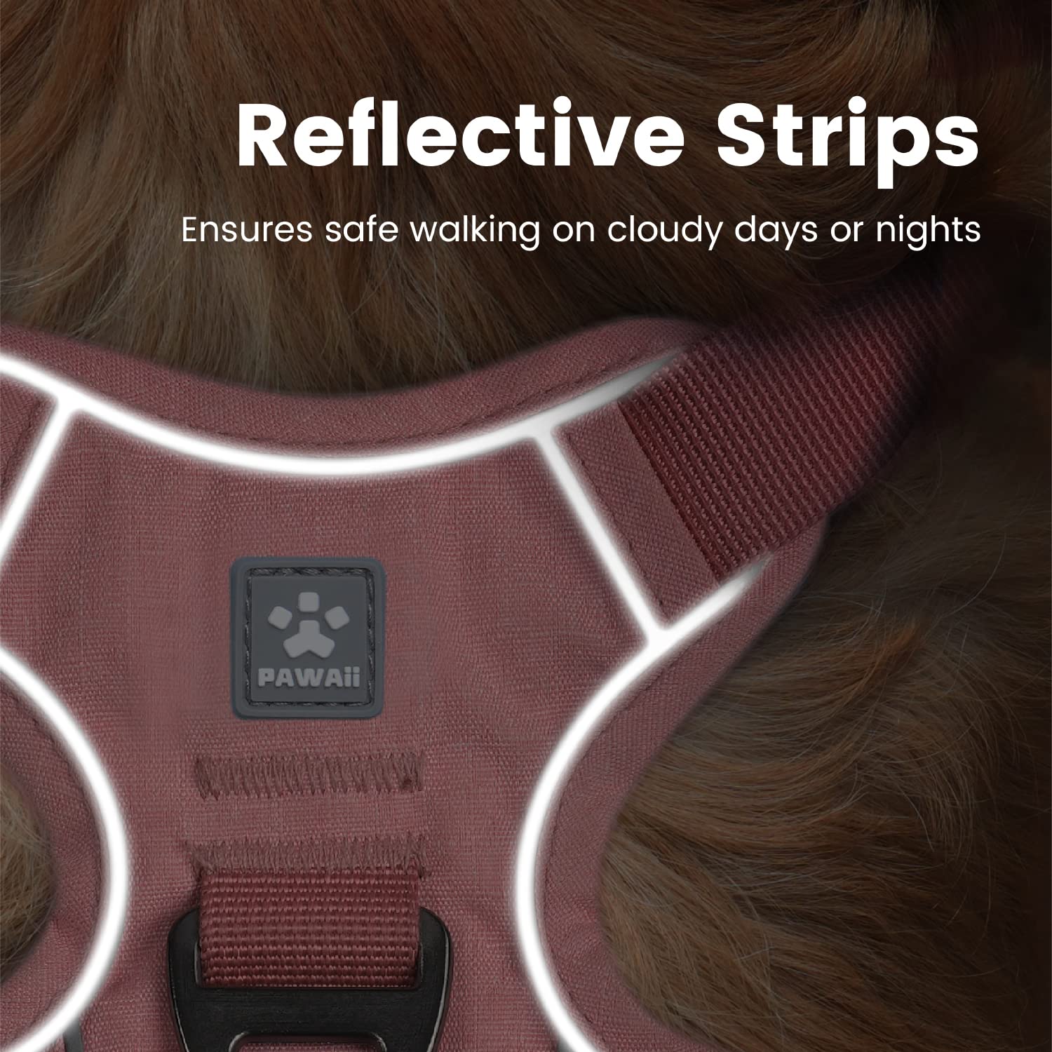 Pawaii adjustable straps ensure a secure fit across sizes