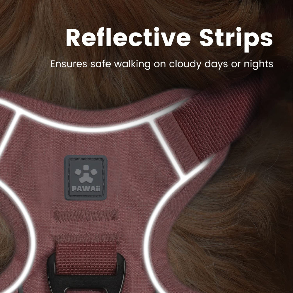 Pawaii adjustable straps ensure a secure fit across sizes