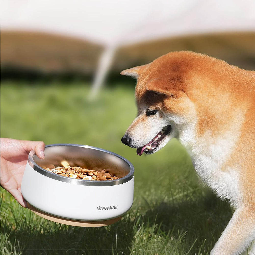 Pawaii dog bowl balances durability with safe feeding materials.