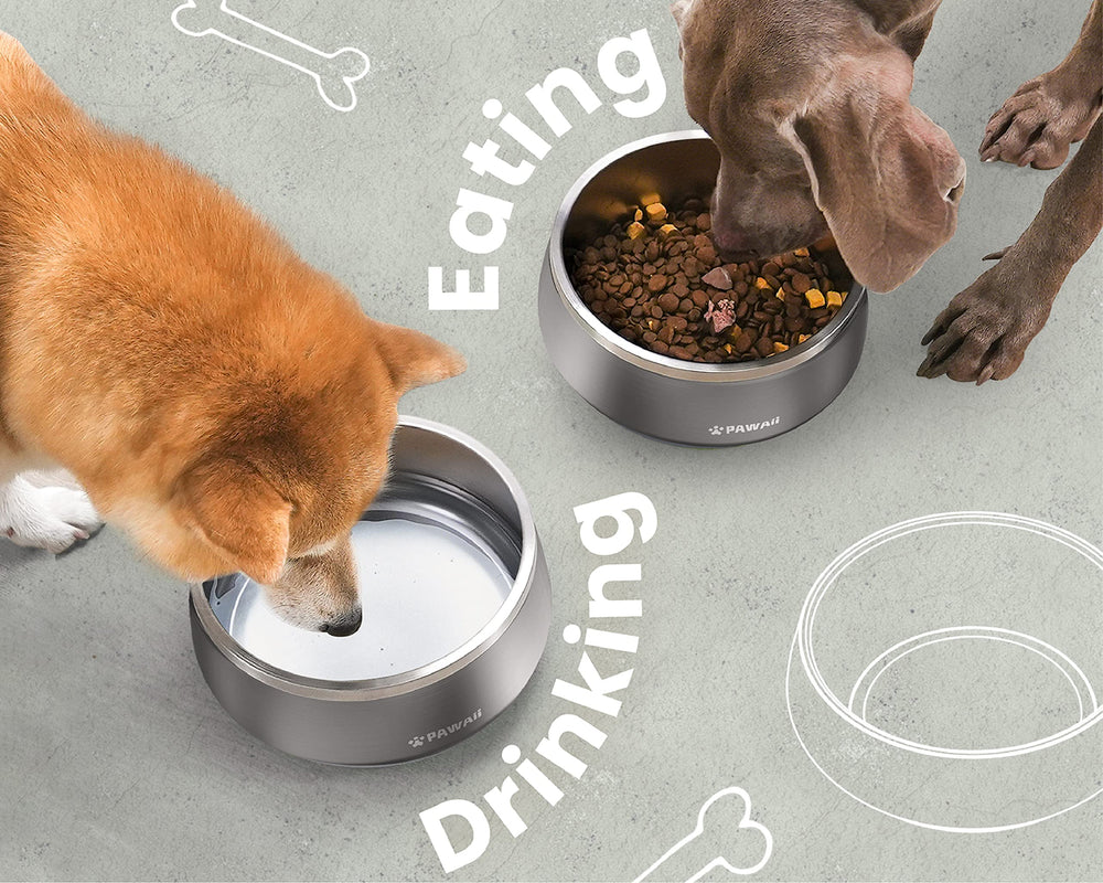Pawaii multi-color designs brighten feeding time.