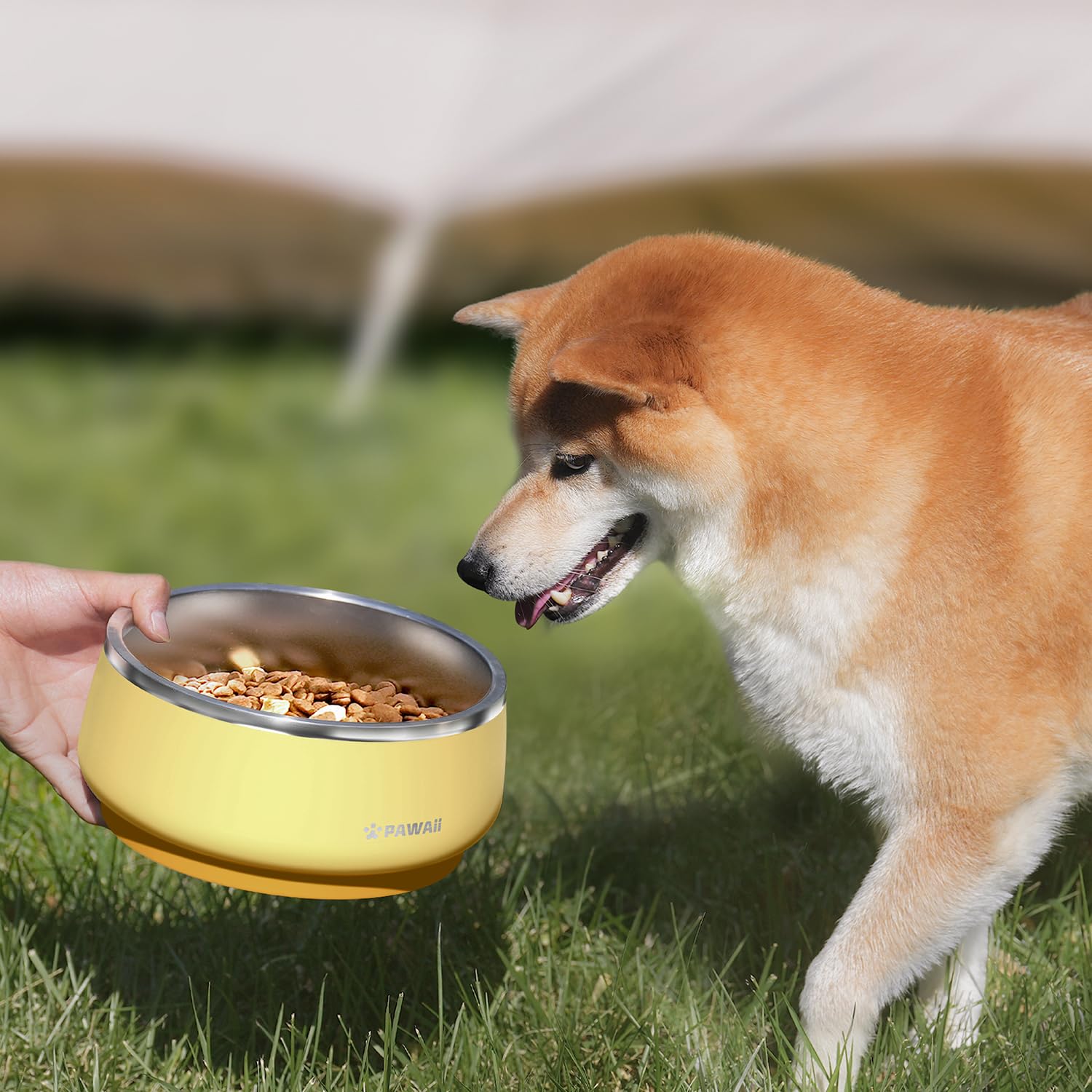 Pawaii dog bowl rust-resistant stainless, built to endure