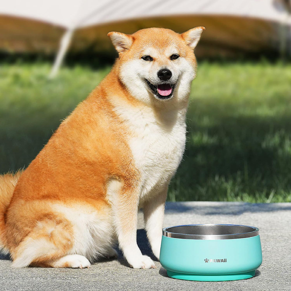 Pawaii dog bowl built from durable materials for long-lasting meals