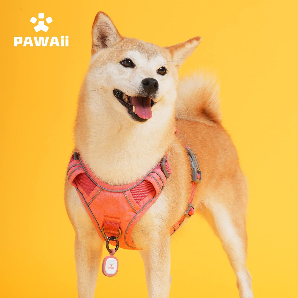 Pawaii front handle offers quick guidance during walks