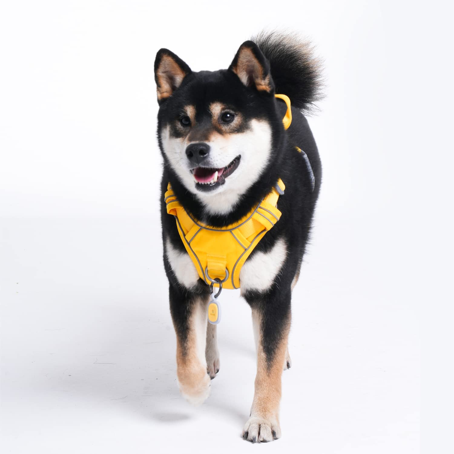 Pawaii harness suited for large dogs in everyday walks